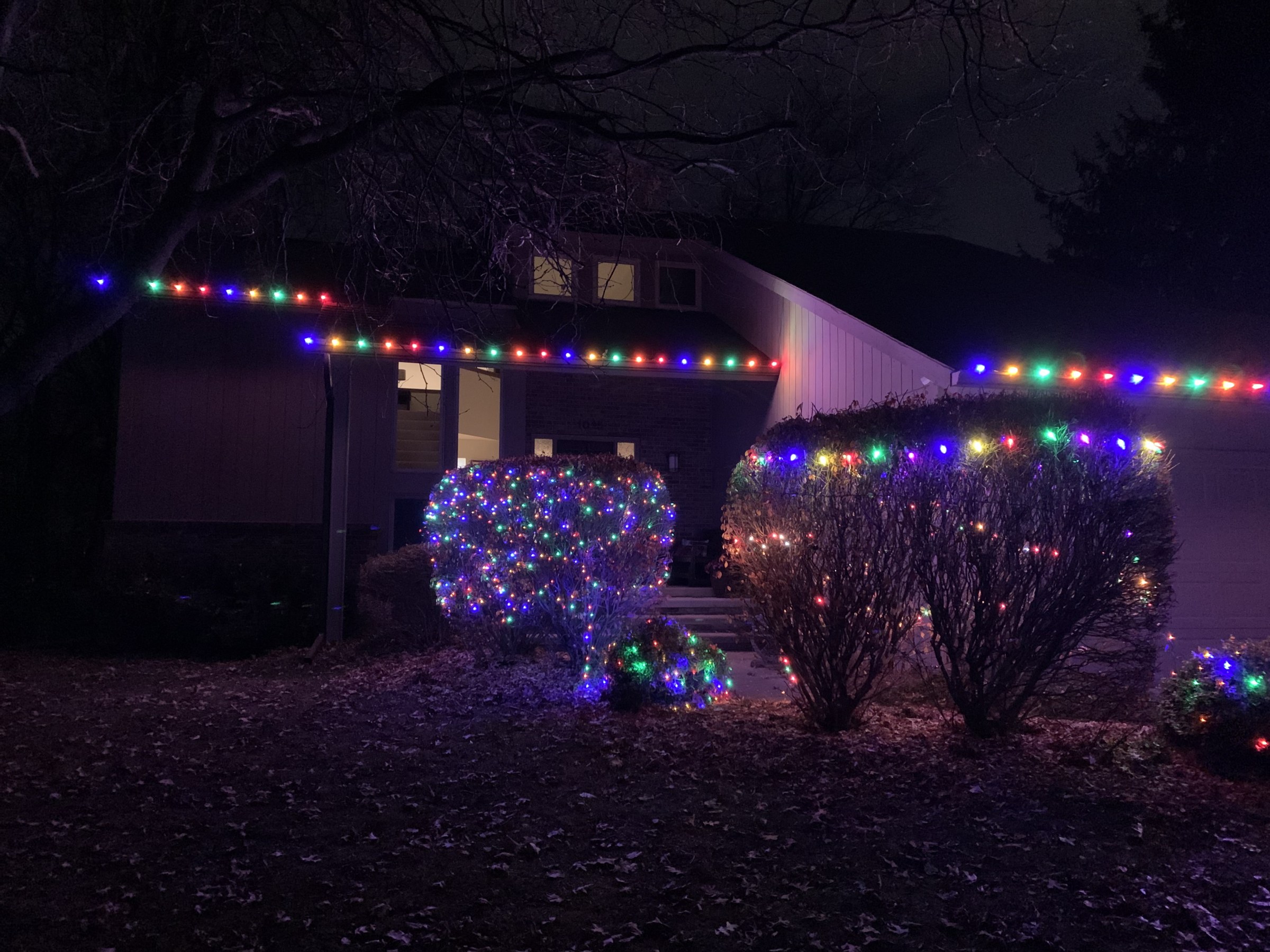 Colorful holiday lighting installation on shrubs and roofline