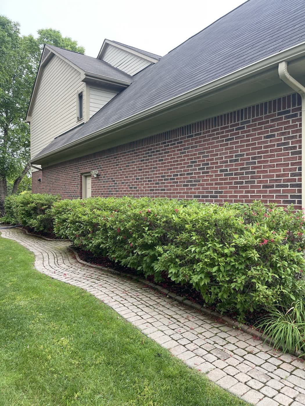 Paver walkway running alongside trimmed hedges at the side of a home