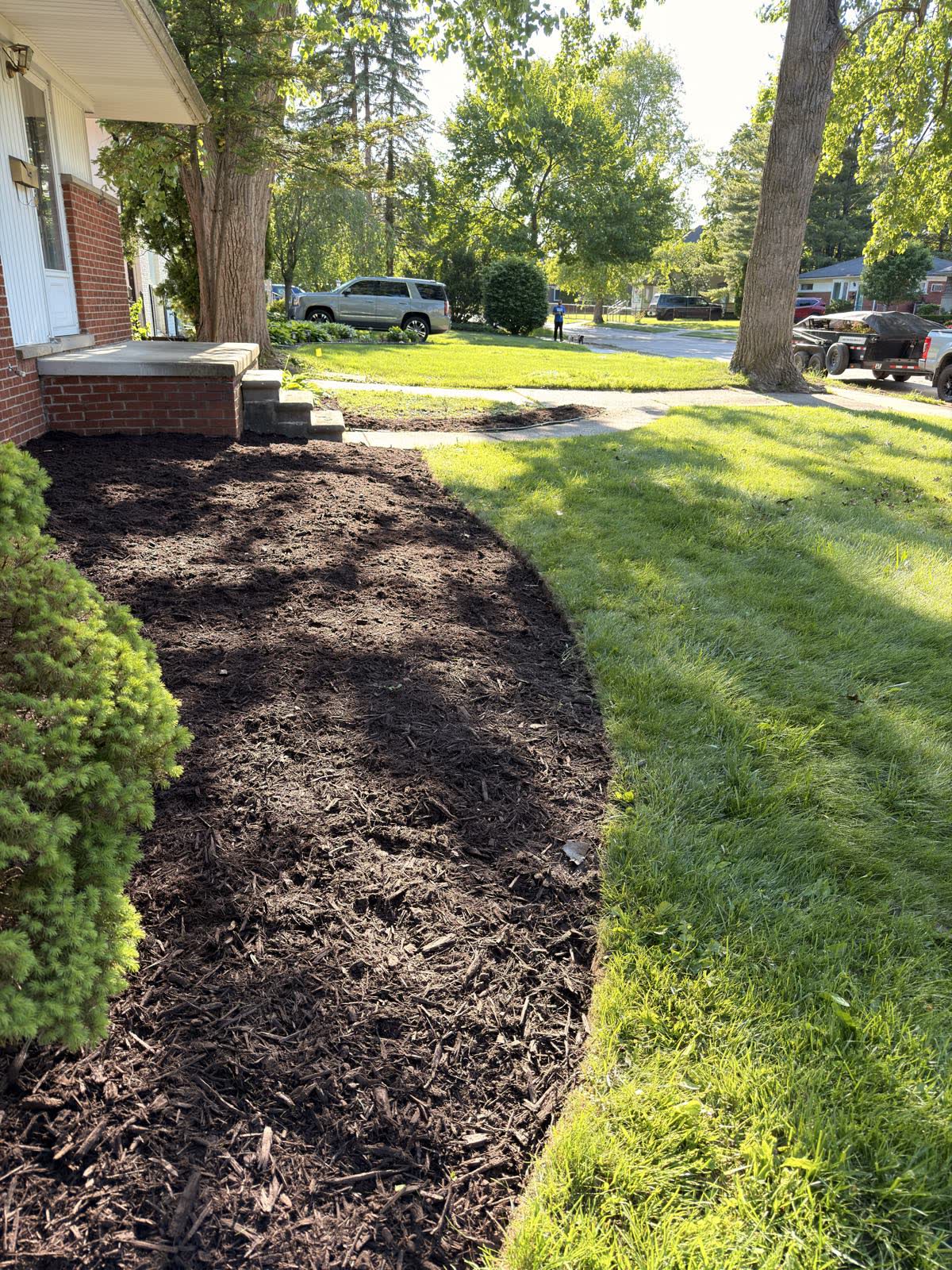 Finished: the same bed planted and topped with fresh dark hardwood mulch behind a crisp cut edge