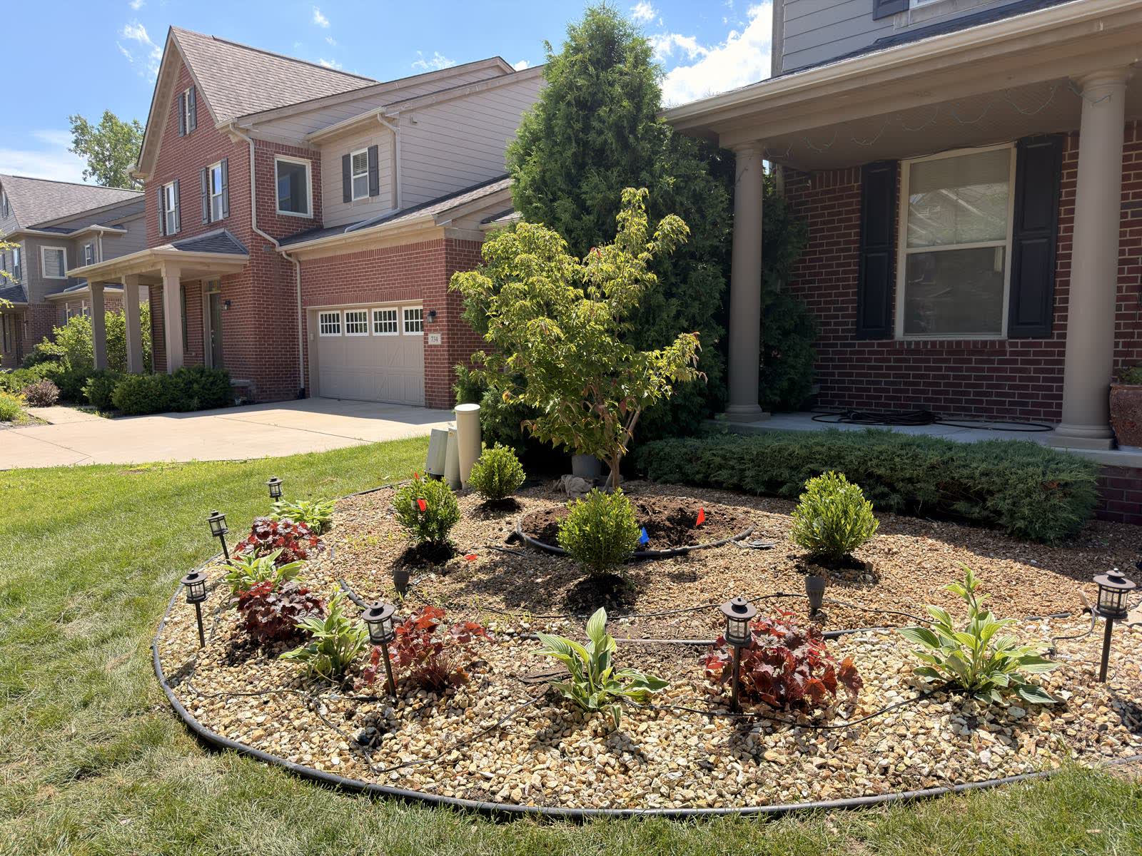 Finished: the same bed fully planted with a Japanese maple, shrubs and seasonal colour